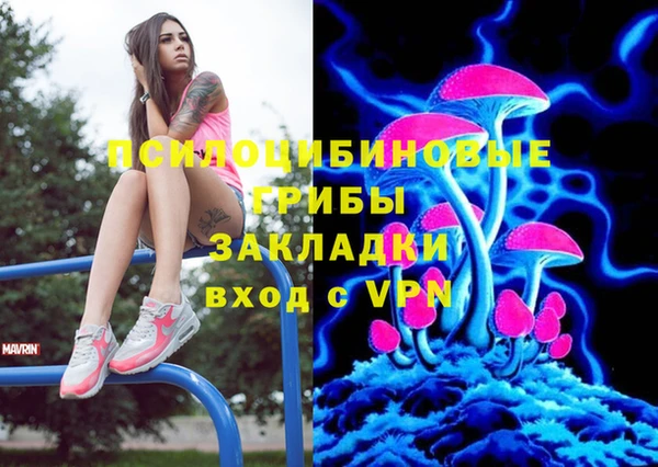 синтетический гашиш Алексин