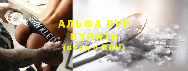 ПСИЛОЦИБИНОВЫЕ ГРИБЫ Инта