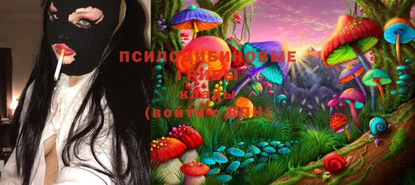 синтетический гашиш Алексин