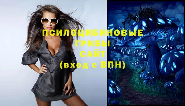 синтетический гашиш Алексин