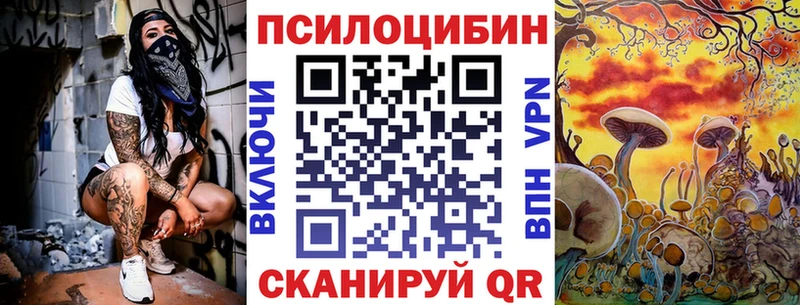 где купить наркоту Аргун Галлюциногенные грибы Psilocybine cubensis