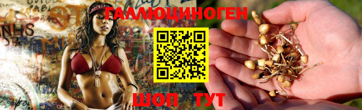 Псилоцибиновые грибы GOLDEN TEACHER Аргун